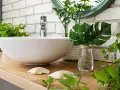 Une vasque blanche sur un plan de travail en bois, entourée de verdure. Une **plante de salle de bain** apporte une touche de fraîcheur à ce décor zen.