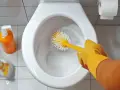 Nettoyage des toilettes avec une brosse et un produit à base d'acide citrique.