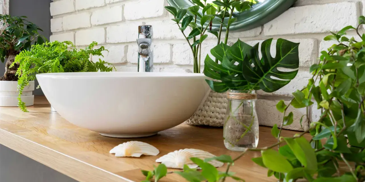 Une vasque blanche sur un plan de travail en bois, entourée de verdure. Une **plante de salle de bain** apporte une touche de fraîcheur à ce décor zen.