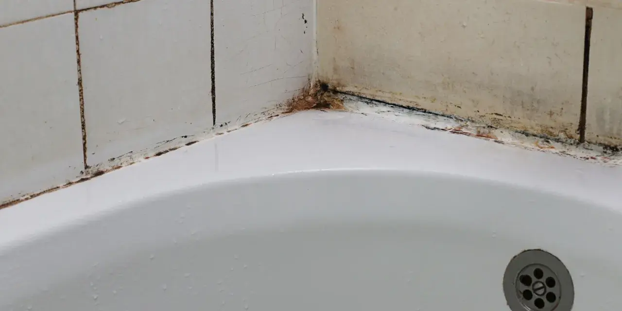 Coin de baignoire avec joints noircis et traces de moisissure salle de bain. Un coin de douche qui a besoin d'un bon nettoyage.