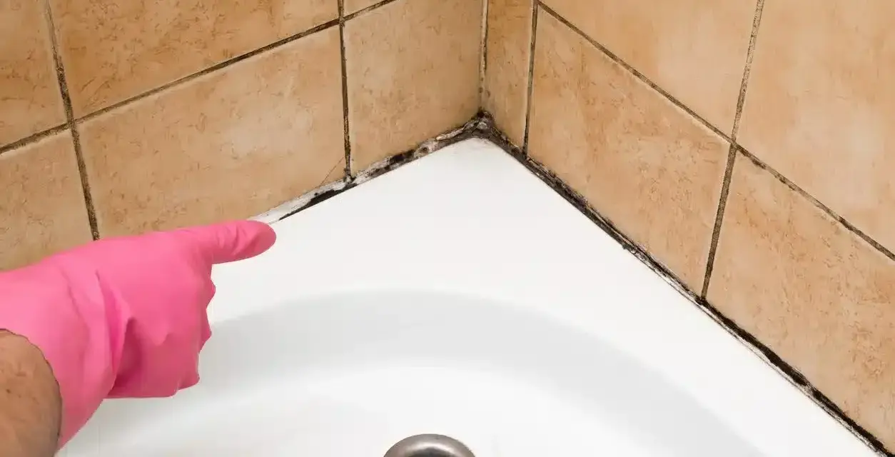 Main d'une personne portant un gant rose pointe vers le joint de douche moisi, indiquant qu'il faut refaire le joint de douche.