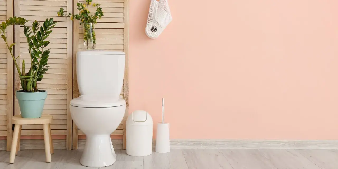 Salle de bain moderne avec WC blanc, plante verte et rouleaux de papier toilette. Idéal pour estimer le tarif remplacement wc complet.