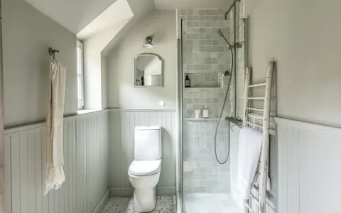 Plan salle de bain en longueur avec douche, WC et échelle décorative.