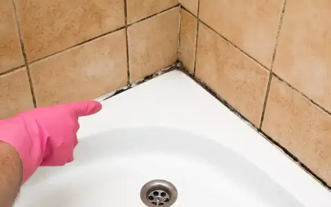 Main d'une personne portant un gant rose pointe vers le joint de douche moisi, indiquant qu'il faut refaire le joint de douche.