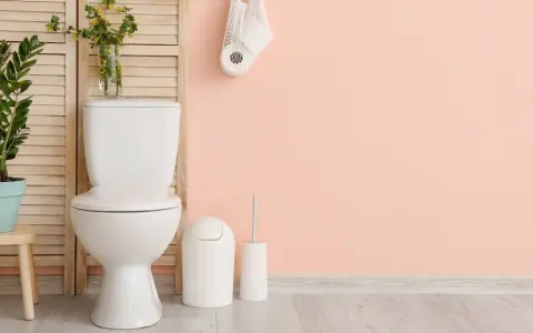 Salle de bain moderne avec WC blanc, plante verte et rouleaux de papier toilette. Idéal pour estimer le tarif remplacement wc complet.