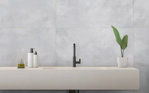 Évier moderne avec robinetterie noire, flacons de savon et plante verte, sur un mur en carrelage rectifié gris.