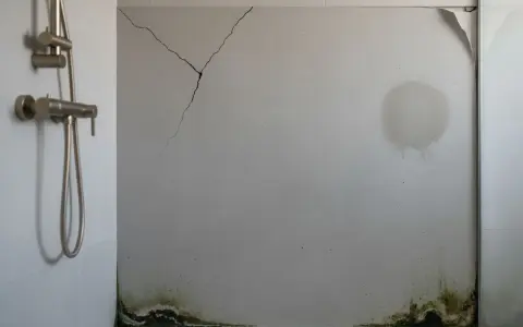 Panneau mural de douche fissuré, taché et moisi, illustrant les inconvénients de ce type de revêtement.