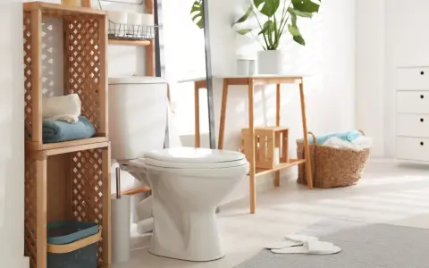 Toilette moderne et épurée, avec étagères en bois, paniers de linge et plantes vertes. Un style toilette invitant et fonctionnel.