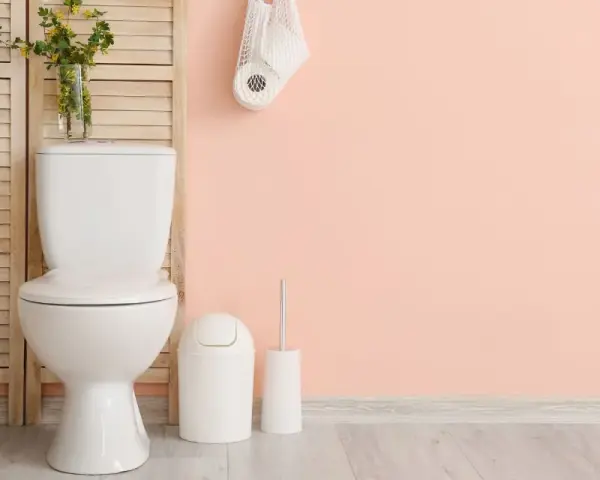Salle de bain moderne avec WC blanc, plante verte et rouleaux de papier toilette. Idéal pour estimer le tarif remplacement wc complet.