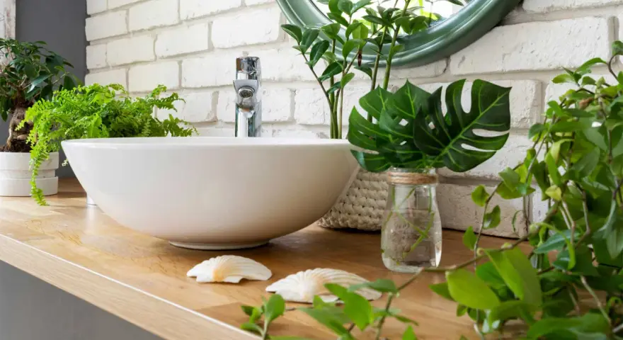 Une vasque blanche sur un plan de travail en bois, entourée de verdure. Une **plante de salle de bain** apporte une touche de fraîcheur à ce décor zen.