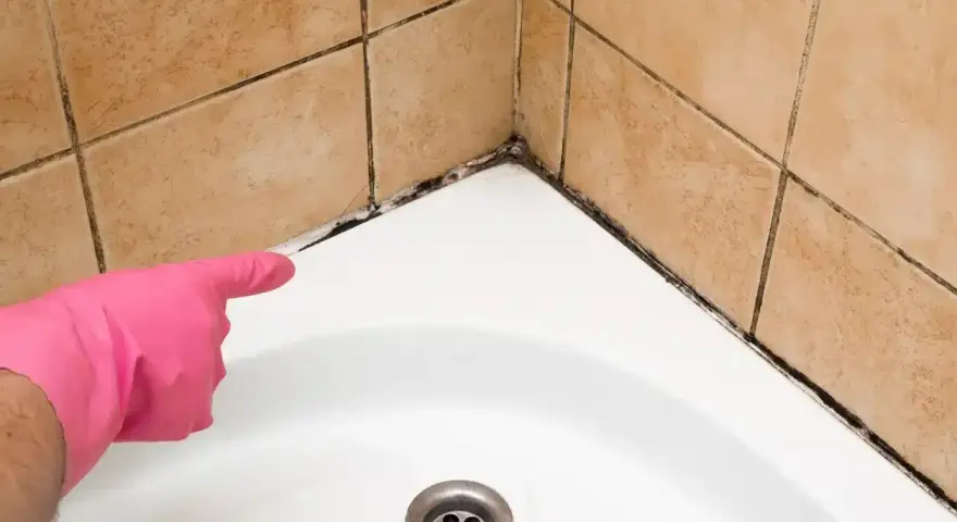 Main d'une personne portant un gant rose pointe vers le joint de douche moisi, indiquant qu'il faut refaire le joint de douche.