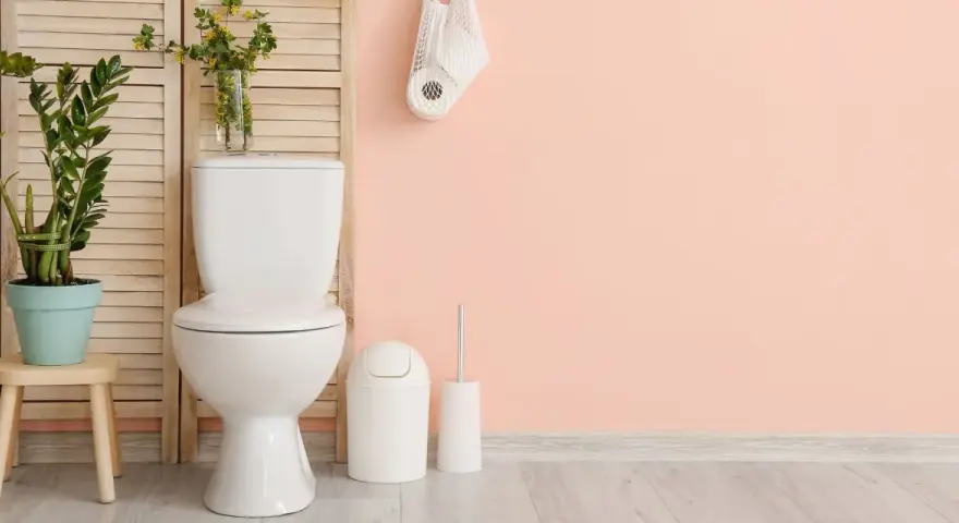 Salle de bain moderne avec WC blanc, plante verte et rouleaux de papier toilette. Idéal pour estimer le tarif remplacement wc complet.