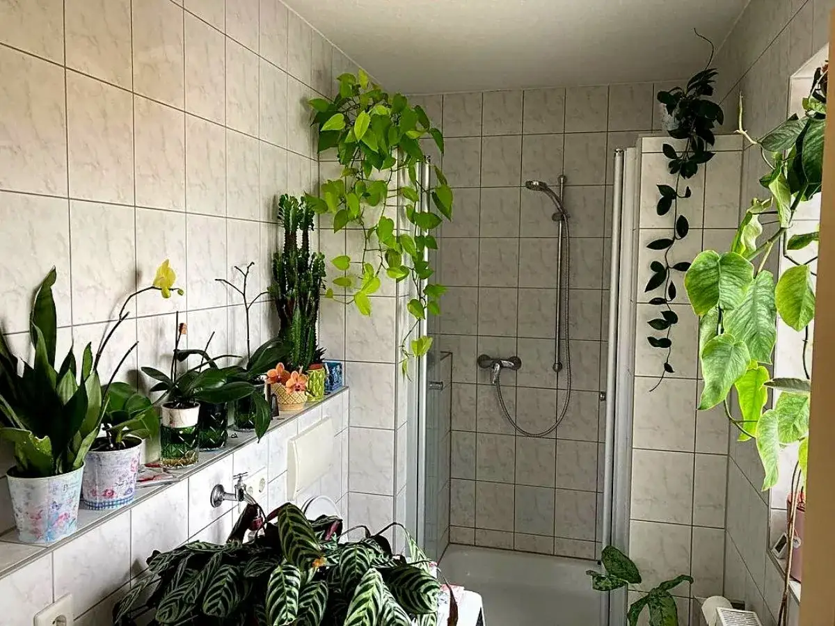 Une jungle luxuriante prospère dans cette salle de bain, où la plante salle de bain humidité crée un microclimat parfait pour les plantes d'intérieur.