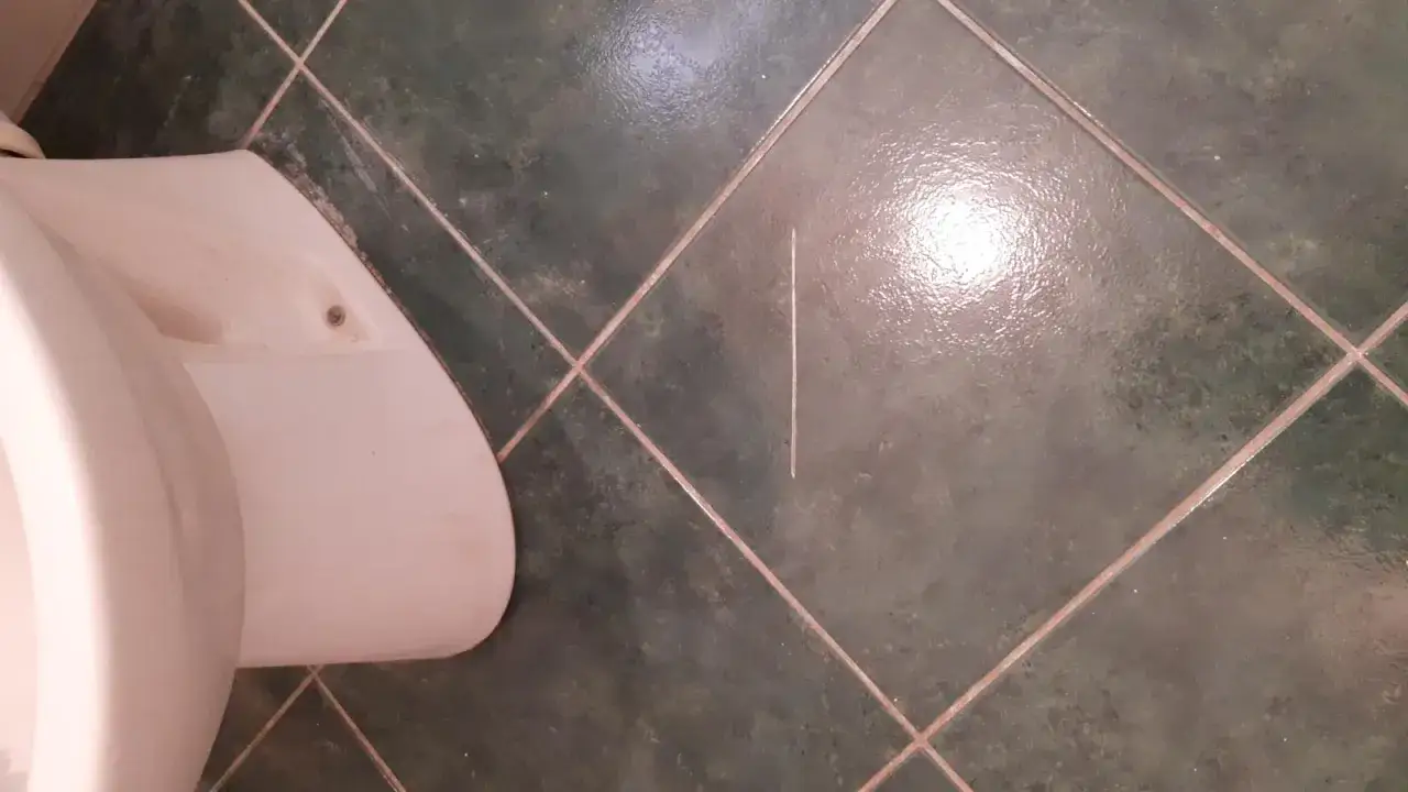 Un fin fil blanc, une rayure sur le carrelage vert foncé de la salle de bain, près de la cuvette des toilettes.