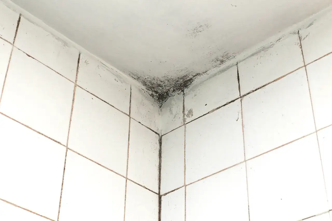 Coin de douche carrelé avec moisissure noire, signe d'une mauvaise odeur salle de bain VMC.